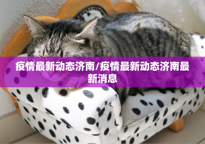 青岛莱西新增12例确诊63例无症状(青岛莱西疫情通报)