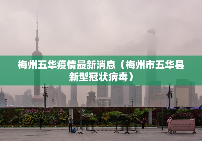 独家脚本实测“微乐安徽麻将怎么提高胜率”(详细辅助脚本)