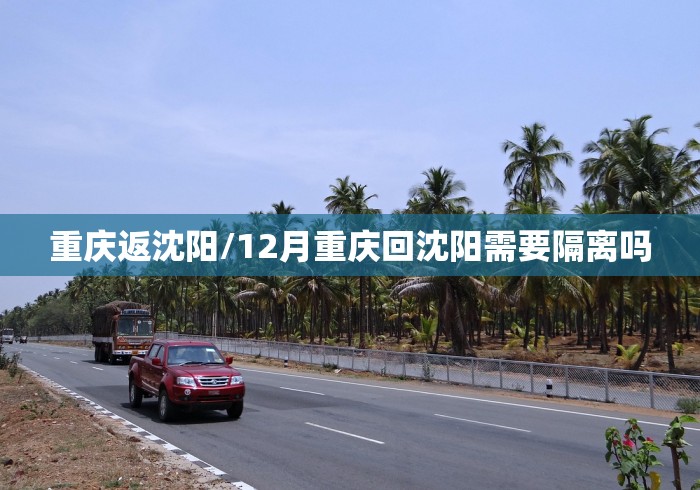 辅助神器“麻友圈2透视辅助”辅助挂下载