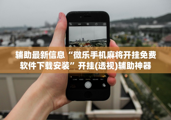 辅助开挂神器“有一个赢钱游戏叫转转	”作弊(透视)透视辅助
