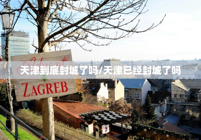 【一招分享】“雀姬麻将辅助挂”(原来确实是有挂)