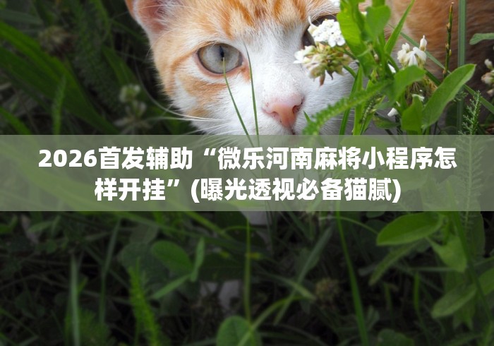 【第一攻略】“博雅地方棋牌有挂吗”开挂(透视)辅助神器