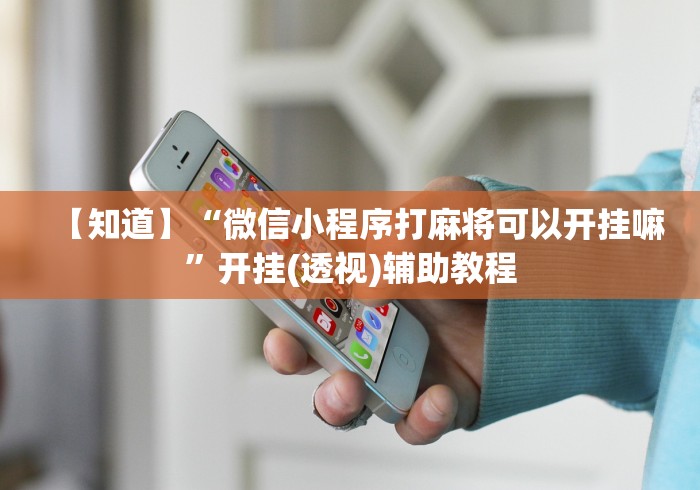 使用分享“金兰娱乐兰溪麻将挂好用吗”开挂(透视)辅助