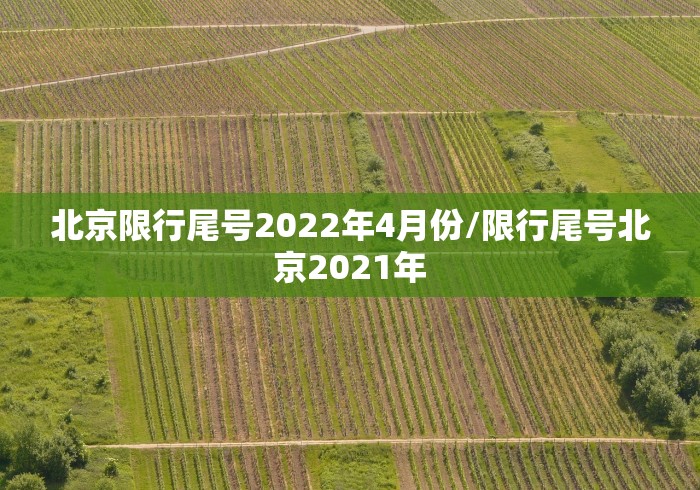 玩家最新攻略“微信财神十三张破解器”开挂详细教程