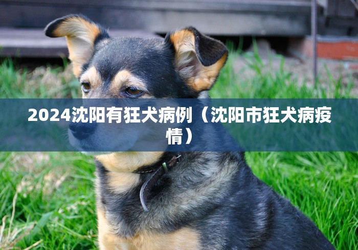 专家分析“随便玩麻将输赢规律”2025开挂教程步骤