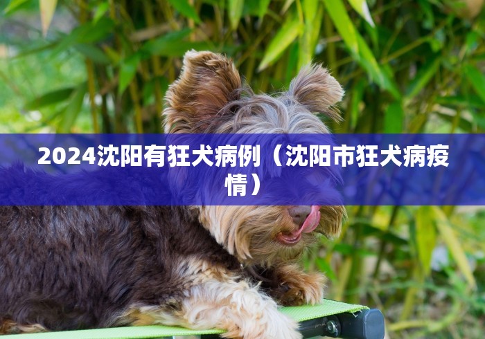 2026首发辅助“手机决战血流麻将开挂神器下载软件”附开挂脚本详细步骤