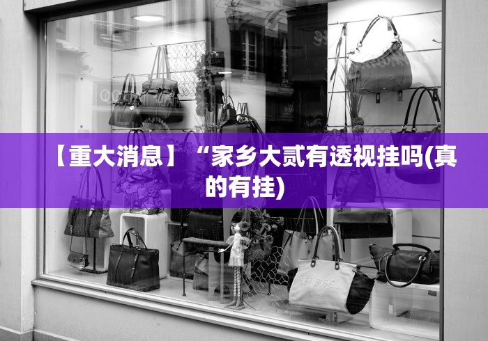 安装程序教程“手机麻将挂在哪里购买	”开挂科技辅助神器手机