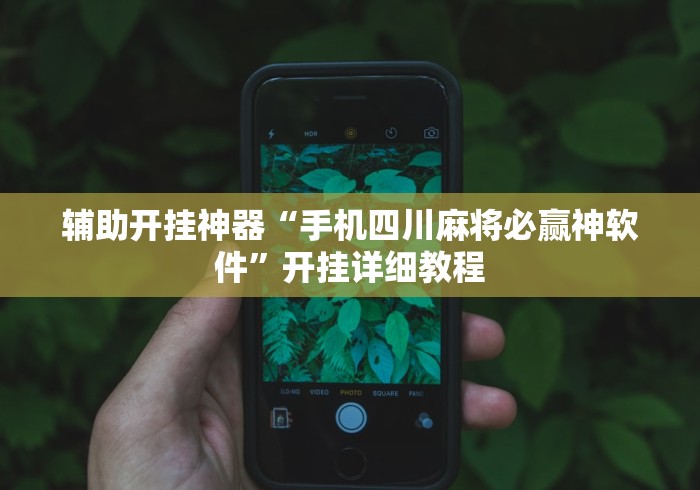 辅助神器“雀神麻将外卦神器通用版”开挂辅助详细步骤