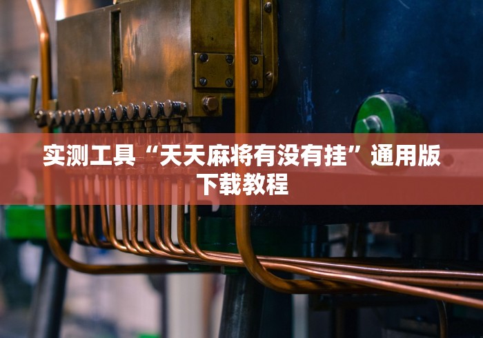 实操教程“手机麻将十打九赢专业神器”(透视)开挂辅助脚本+详细开挂安装教程