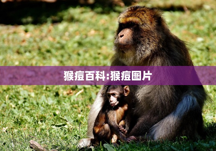 助赢神器“来一把麻将开挂”详细辅助透视