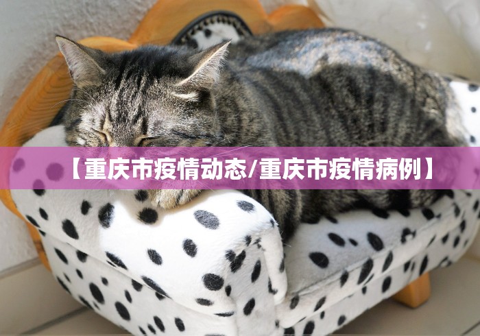 必看教程“好运麻将有挂可测试来”开挂(透视)辅助神器