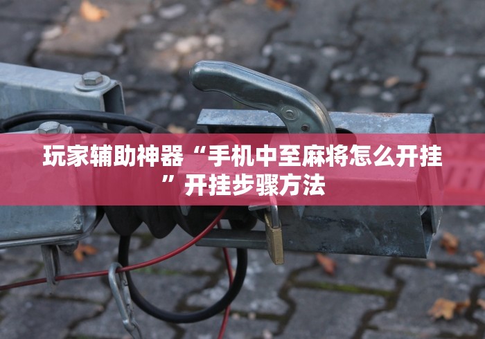玩家辅助神器“手机中至麻将怎么开挂”开挂步骤方法