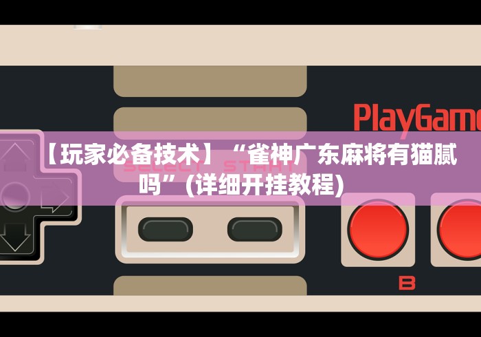 【玩家必备技术】“雀神广东麻将有猫腻吗”(详细开挂教程)