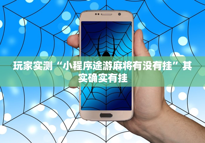 玩家实测“小程序途游麻将有没有挂”其实确实有挂
