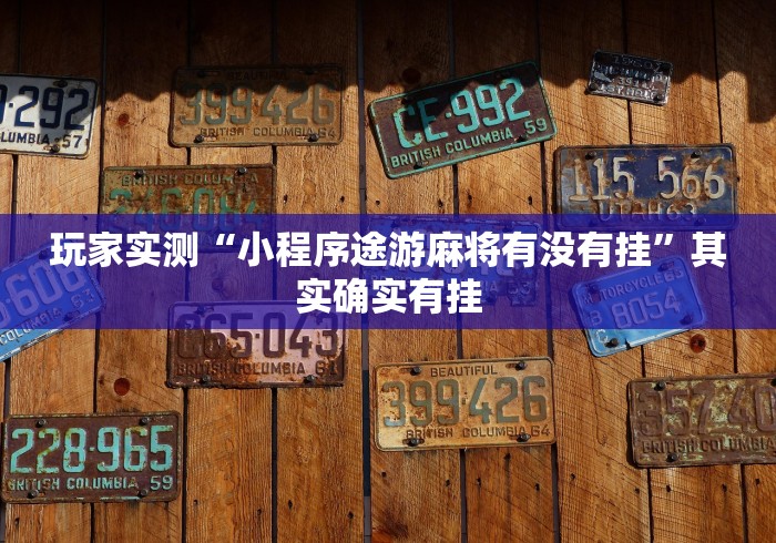 玩家实测“小程序途游麻将有没有挂”其实确实有挂