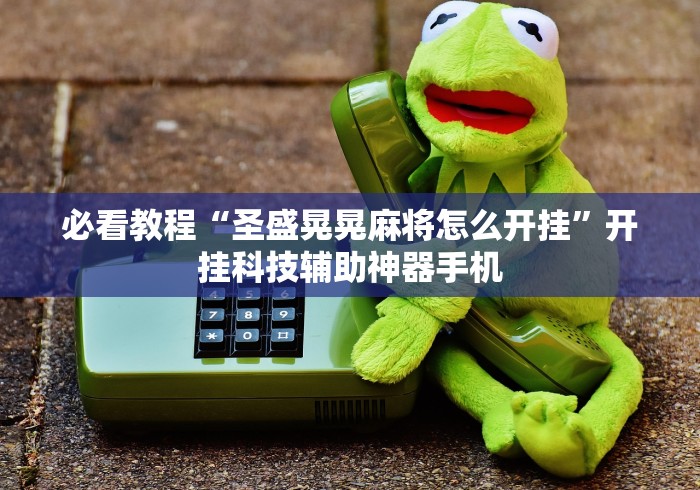 必看教程“圣盛晃晃麻将怎么开挂”开挂科技辅助神器手机