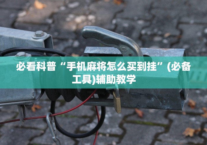 必看科普“手机麻将怎么买到挂”(必备工具)辅助教学
