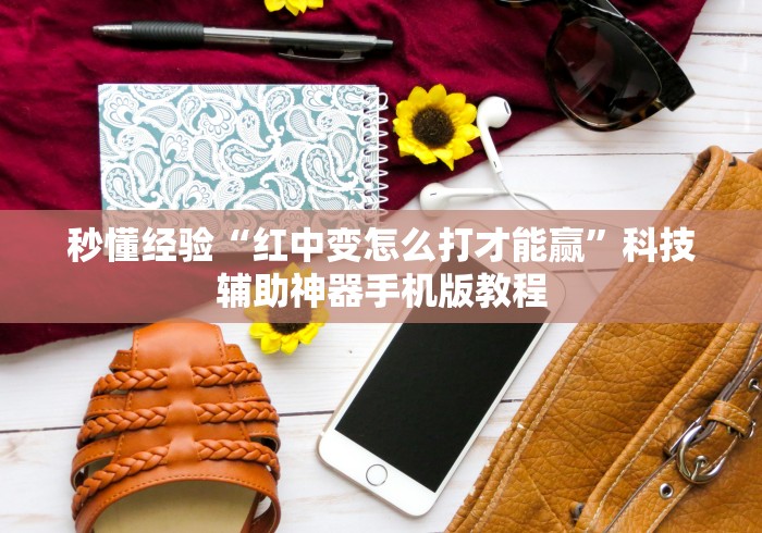 秒懂经验“红中变怎么打才能赢”科技辅助神器手机版教程