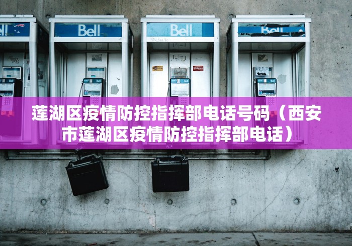 辅助神器“微乐万能开挂器苹果版”(透视)开挂辅助脚本+详细开挂安装教程