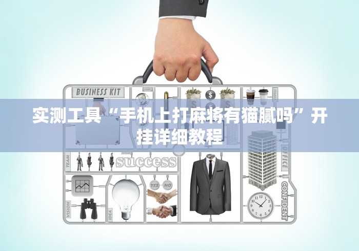 实测工具“手机上打麻将有猫腻吗”开挂详细教程