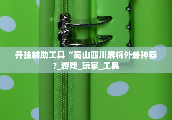 开挂辅助工具“蜀山四川麻将外卦神器?_游戏_玩家_工具