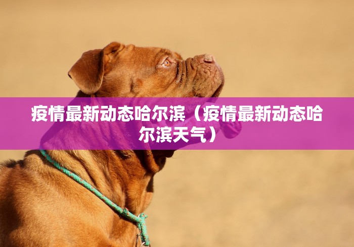 终于知道	”终于明白手机麻将输赢规律”-详细教程