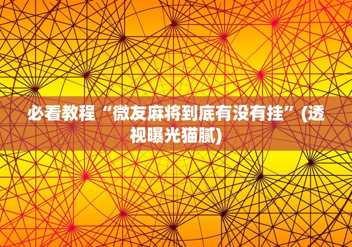 必看教程“微友麻将到底有没有挂”(透视曝光猫腻)