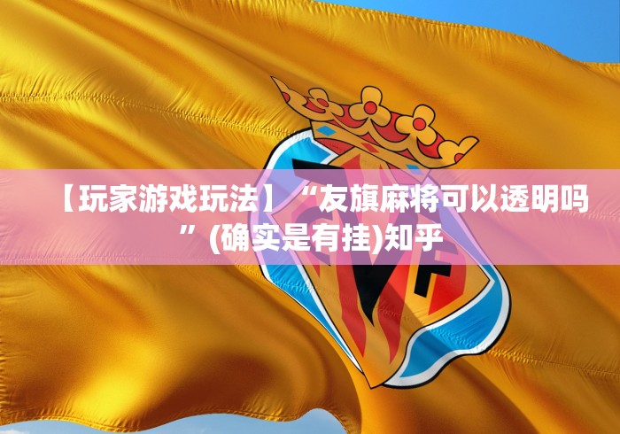 【玩家游戏玩法】“友旗麻将可以透明吗”(确实是有挂)知乎