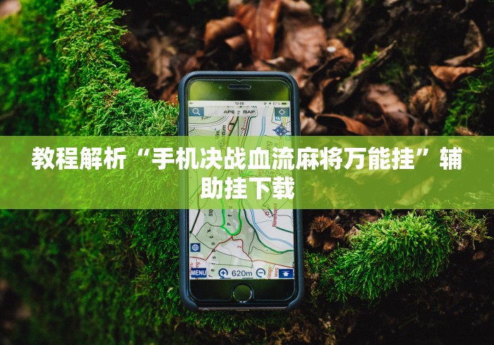 教程解析“手机决战血流麻将万能挂”辅助挂下载